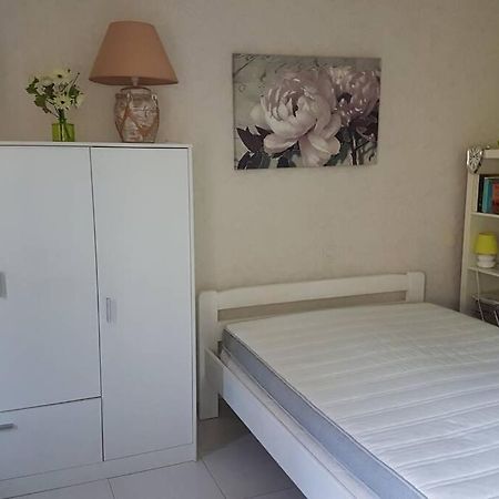 Apartmán Appt 2 Etoiles Agreable Et Calme Vue Sur Montagnes Amélie-les-Bains-Palalda Exteriér fotografie