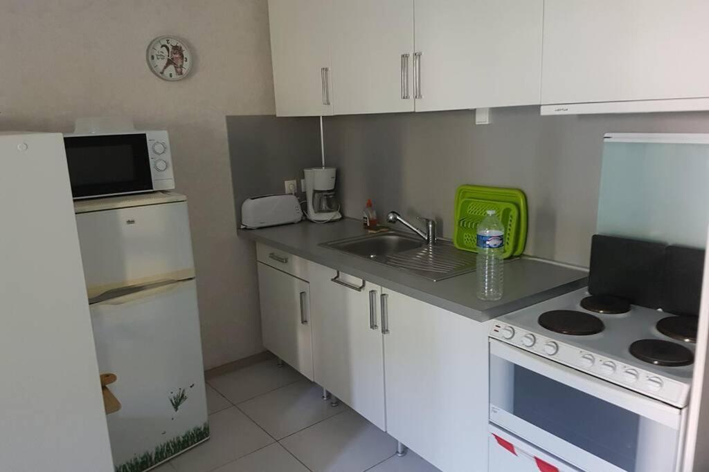 Apartmán Appt 2 Etoiles Agreable Et Calme Vue Sur Montagnes Amélie-les-Bains-Palalda Exteriér fotografie
